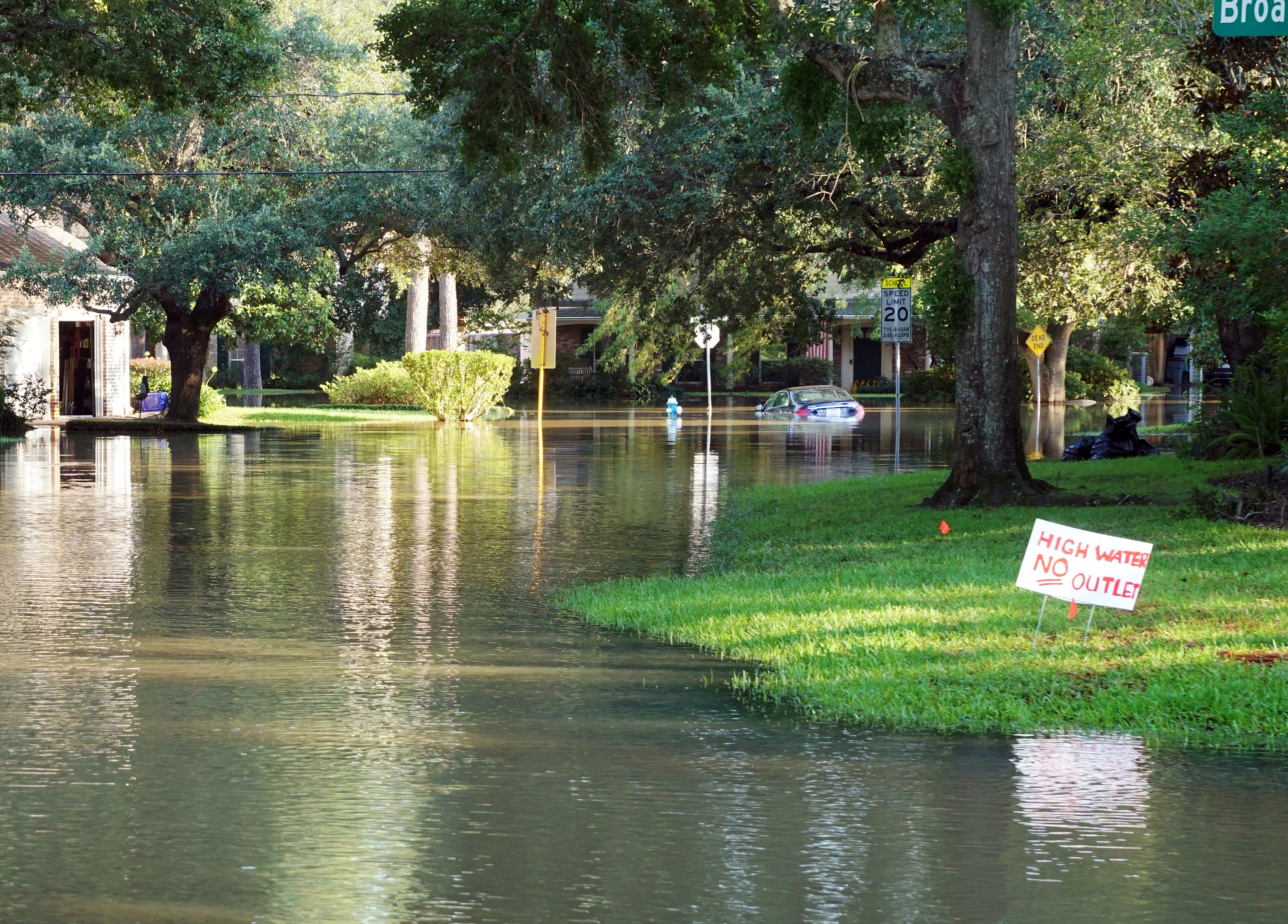 Climate crisis. Climate crisis.